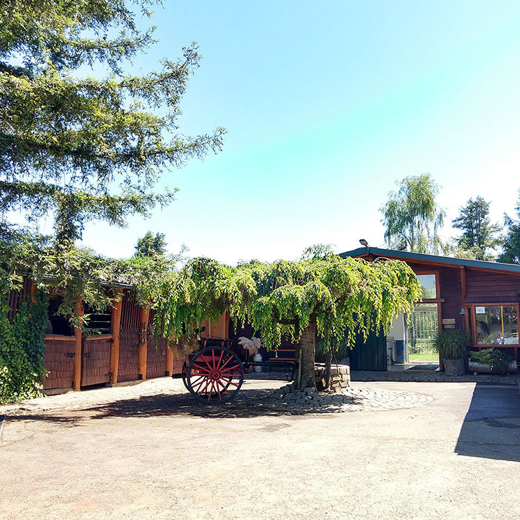 Veterinaria Metrenco, Temuco