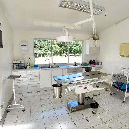 Veterinaria Metrenco, Temuco - Laboratorio Veterinaria Metrenco, veterinaria Temuco, Clínica Veterinaria, Hospital Clinico, Veterinaria Padre las Casas, Veterinaria Quepe, Veterinaria Pitrufquen, Veterinaria Freire, Veterinaria Araucania, veterinaria caballos temuco, veterinaria perros temuco, veterinaria gatos temuco, hotel perros temuco, hotel perros freire, hotel perros metrenco, hotel perros quepe, hotel perros Pitrufquen